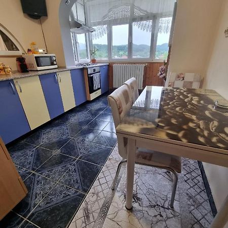 Emily Residence Curtea de Argeş المظهر الخارجي الصورة